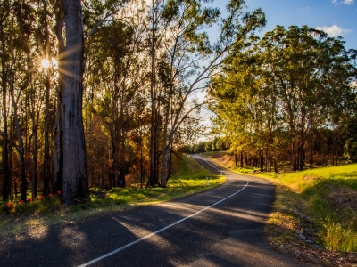 Winding road in Queensland sunshine