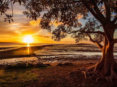 Image showing sunset at Wellington Point, Queensland.